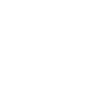 singapore airlines